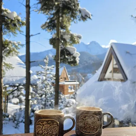 Apartament Koscielisko コシチェリスコ